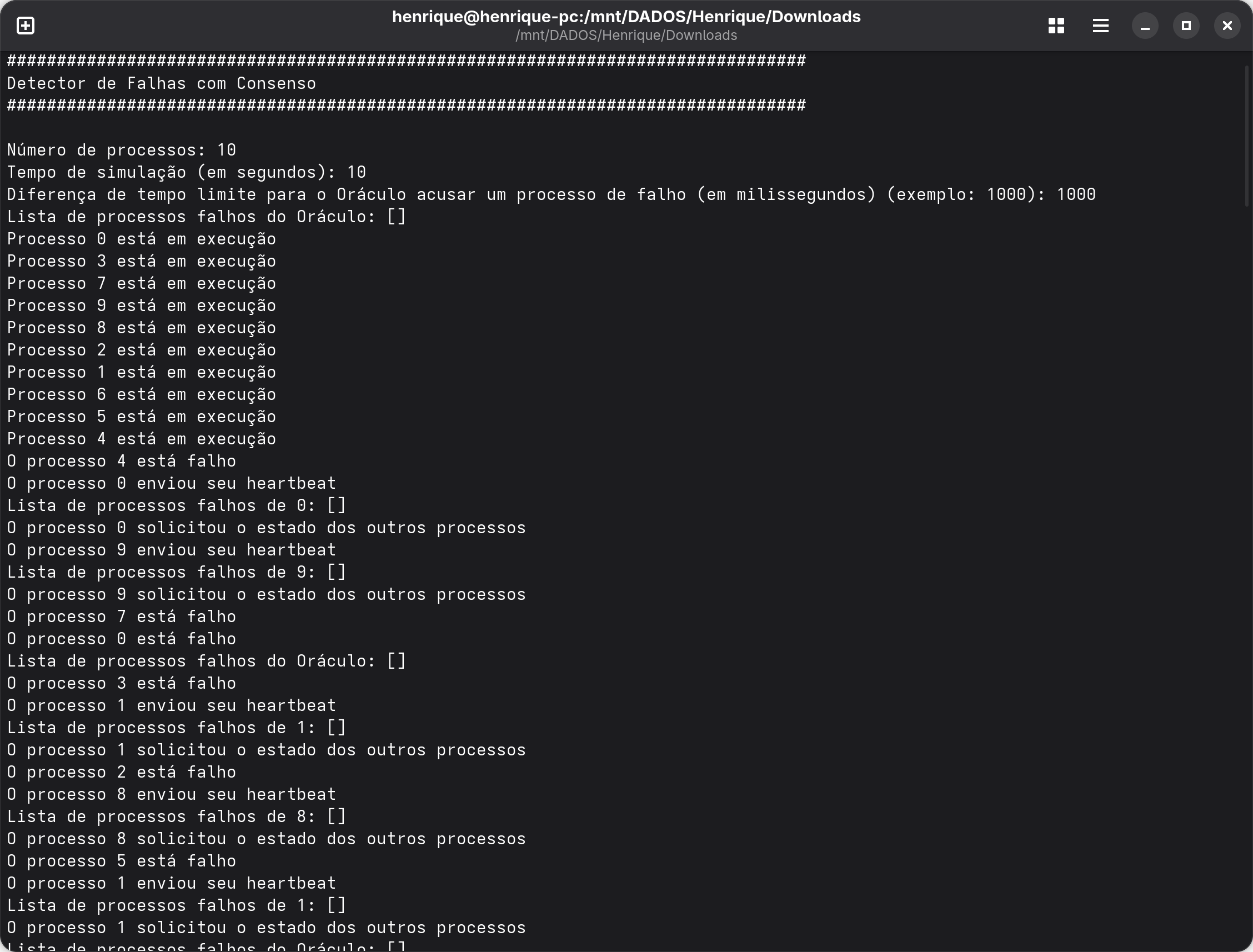 Captura de tela da execução do programa de simulação de detector de falhas com consenso