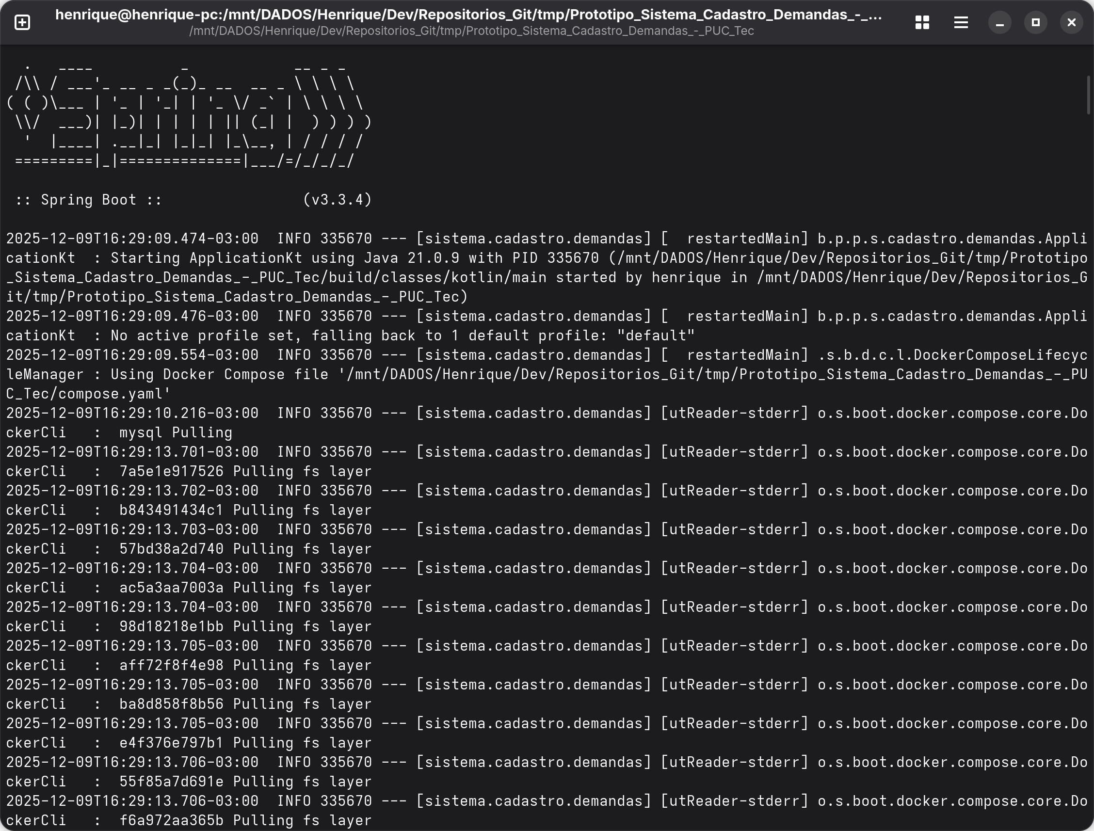 Captura de tela da execução do Protótipo do back-end do Sistema de Cadastro de Demandas